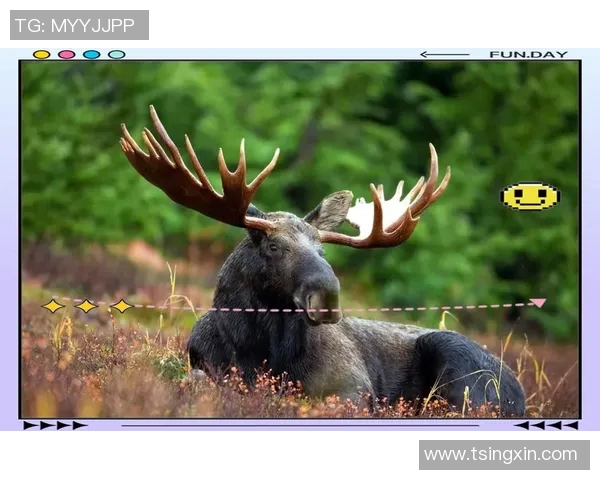 雄鹿在自然生态中的重要角色与保护现状分析