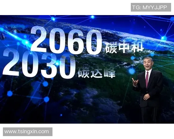 北京乒乓球队转型之路的挑战与机遇全景观察